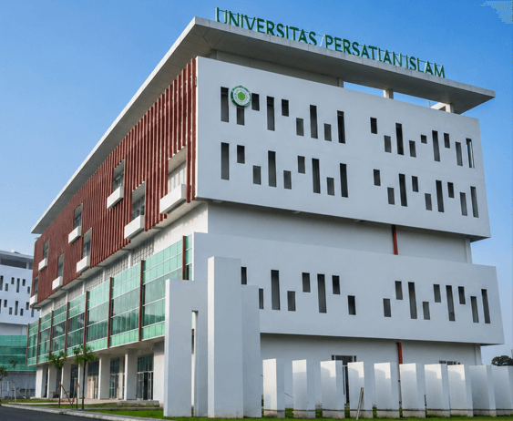Modern university students collaborating